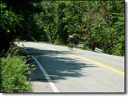 The road is already  an entryway to the Metroparks for cyclists.