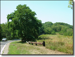 Hogsback Lane evokes a sense of
country in the City.