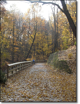 Improvements include retaining walls sown with native plants.